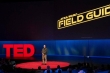 Star Wars Changed Visual Effects — AI Is Doing It Again | Rob Bredow | TED